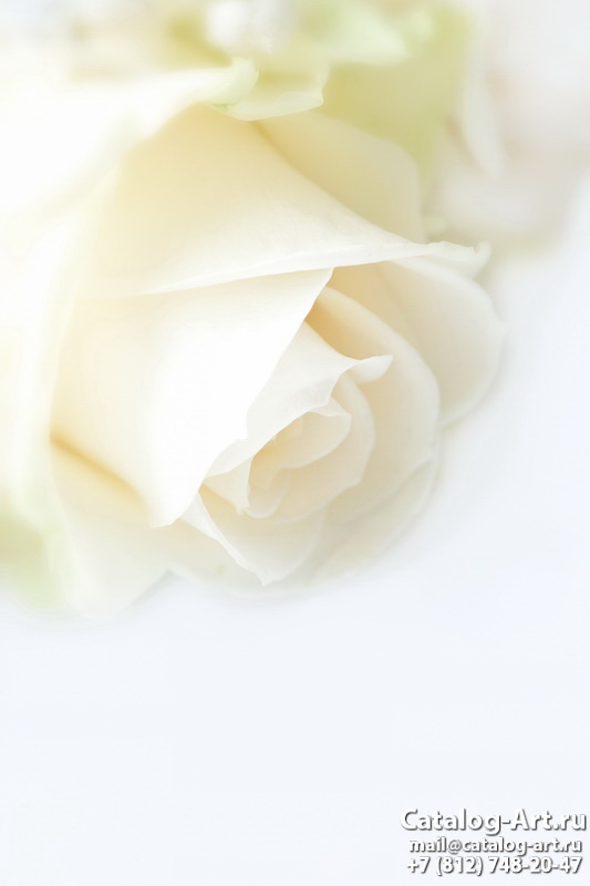 Натяжные потолки с фотопечатью - Белые розы 6